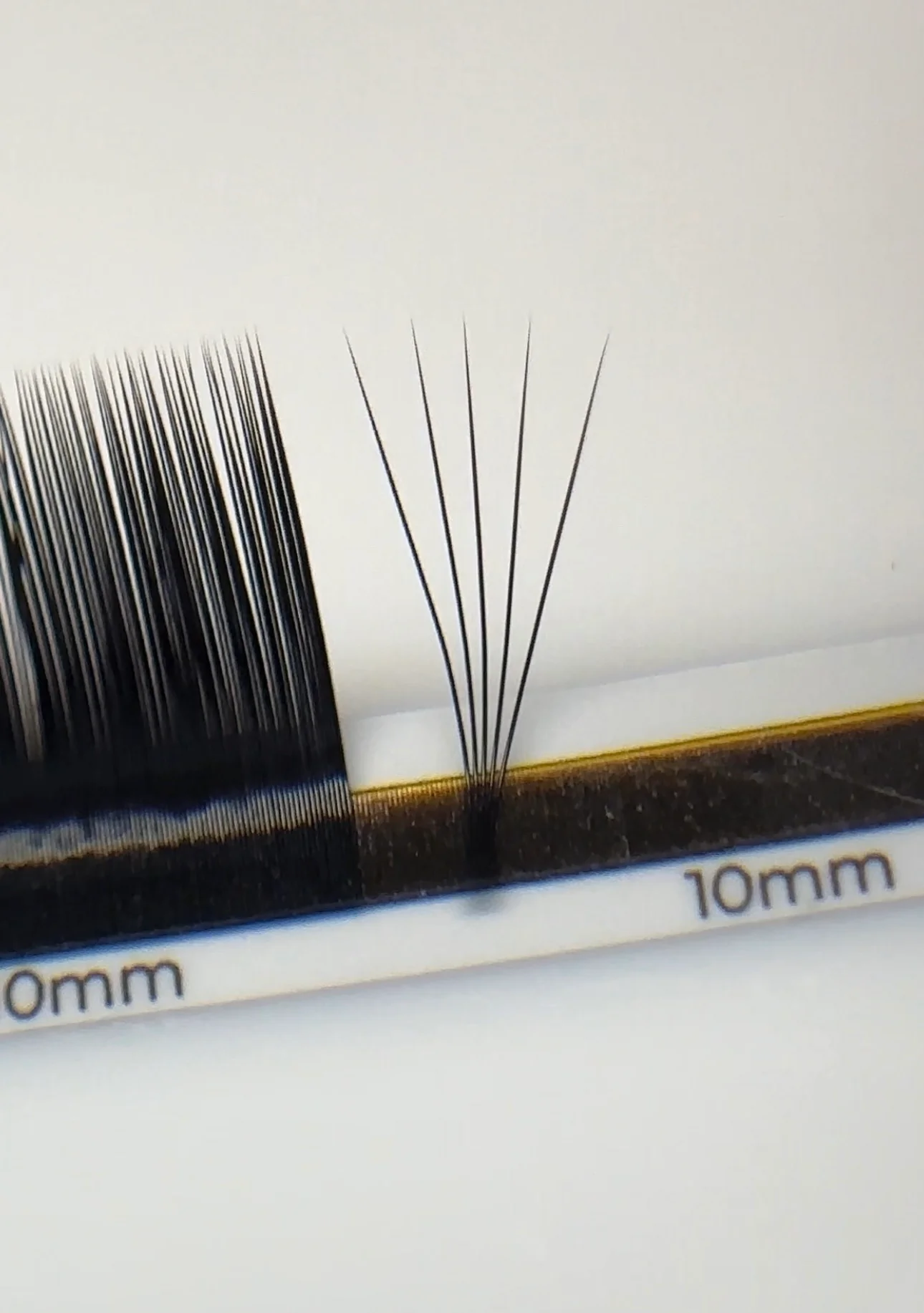 ESSENTIALS 16 lines Black Lashes – Obrázok 2