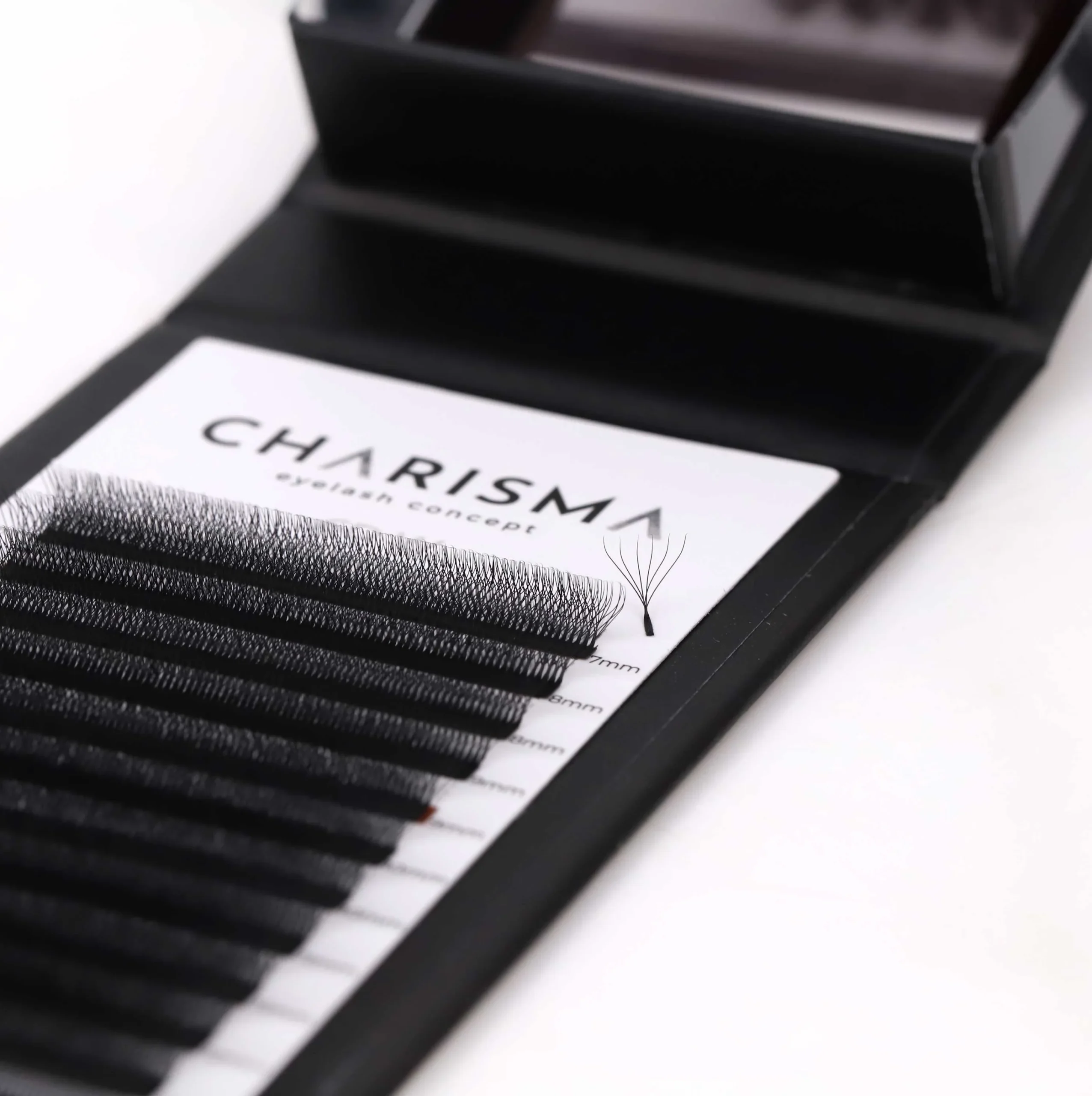SPEEDY Lashes W Premade Fans Black – Obrázok 3